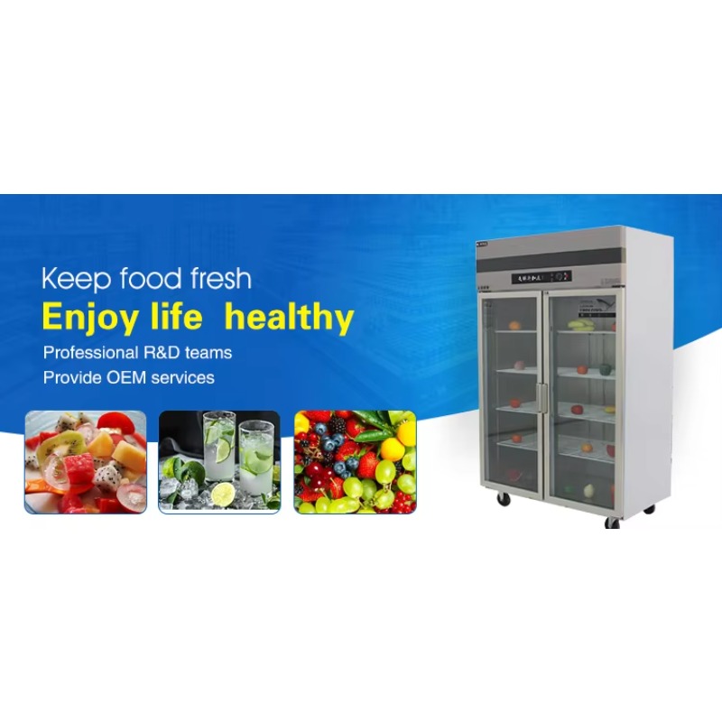 Refrigerador Comercial Persona - Commercial Kitchen Refrigerator reseña y precio